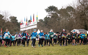 La Marche Nordique Compétition au calendrier du Marche Nordique Tour !